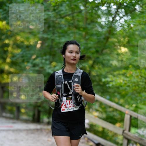28.09.2025 - 33. Volkslauf durch das schöne Alstertal Patografie http://msf.ph/oto/8966502 28.09.2025 09:41:17 Laufen 248 meine-sportfotos.de
