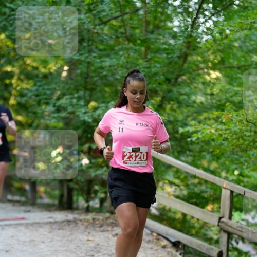 28.09.2025 - 33. Volkslauf durch das schöne Alstertal Patografie http://msf.ph/oto/8966503 28.09.2025 09:41:26 Laufen 11, 2320 meine-sportfotos.de