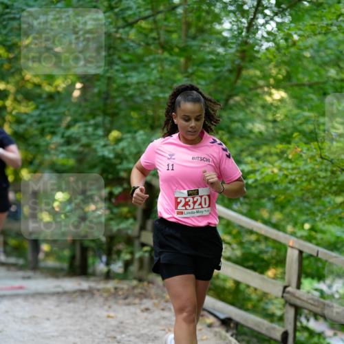 28.09.2025 - 33. Volkslauf durch das schöne Alstertal Patografie http://msf.ph/oto/8966504 28.09.2025 09:41:26 Laufen 11, 2320 meine-sportfotos.de