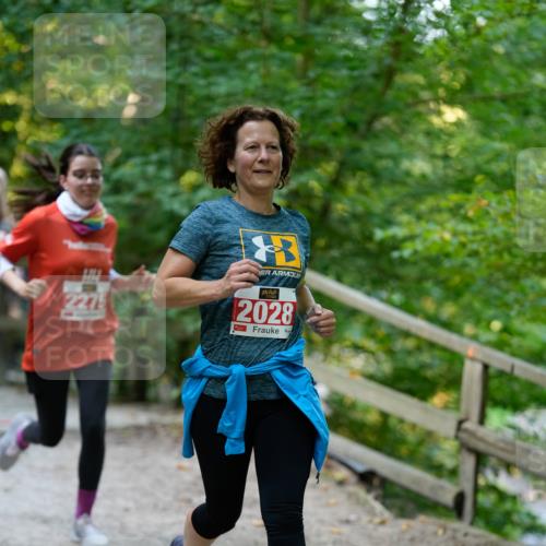 28.09.2025 - 33. Volkslauf durch das schöne Alstertal Patografie http://msf.ph/oto/8966505 28.09.2025 09:41:29 Laufen 2275, 2028 meine-sportfotos.de
