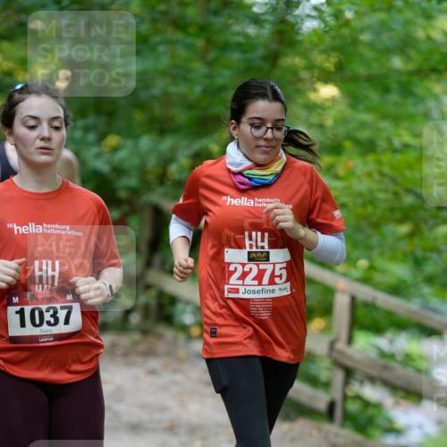 28.09.2025 - 33. Volkslauf durch das schöne Alstertal Patografie http://msf.ph/oto/8966507 28.09.2025 09:41:30 Laufen 30, 30, 1037, 2275 meine-sportfotos.de