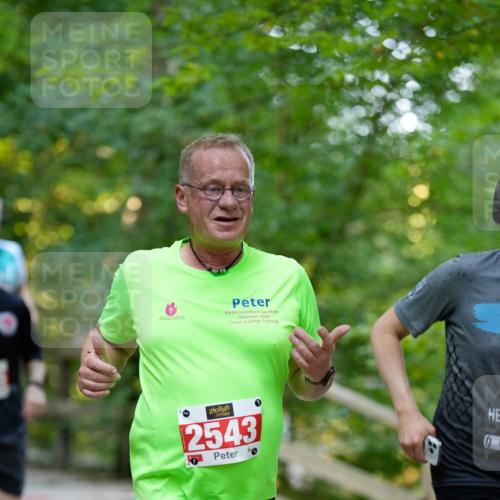 28.09.2025 - 33. Volkslauf durch das schöne Alstertal Patografie http://msf.ph/oto/8966509 28.09.2025 09:41:35 Laufen 2025, 0, 2543, 40 meine-sportfotos.de