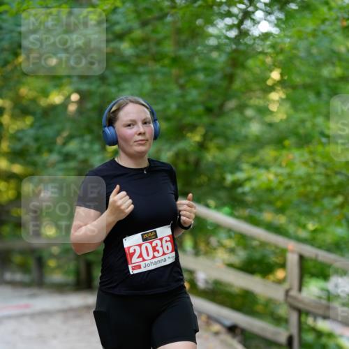 28.09.2025 - 33. Volkslauf durch das schöne Alstertal Patografie http://msf.ph/oto/8966513 28.09.2025 09:41:40 Laufen 2036 meine-sportfotos.de