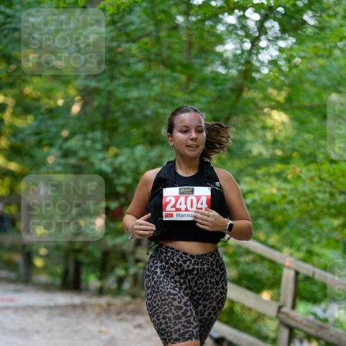 28.09.2025 - 33. Volkslauf durch das schöne Alstertal Patografie http://msf.ph/oto/8966514 28.09.2025 09:41:55 Laufen 2404 meine-sportfotos.de