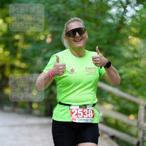 28.09.2025 - 33. Volkslauf durch das schöne Alstertal Patografie http://msf.ph/oto/8966518 28.09.2025 09:41:58 Laufen 2025, 2538 meine-sportfotos.de