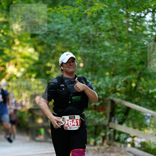 28.09.2025 - 33. Volkslauf durch das schöne Alstertal Patografie http://msf.ph/oto/8966520 28.09.2025 09:42:24 Laufen 2641 meine-sportfotos.de