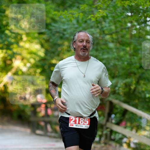 28.09.2025 - 33. Volkslauf durch das schöne Alstertal Patografie http://msf.ph/oto/8966524 28.09.2025 09:42:44 Laufen 2185 meine-sportfotos.de
