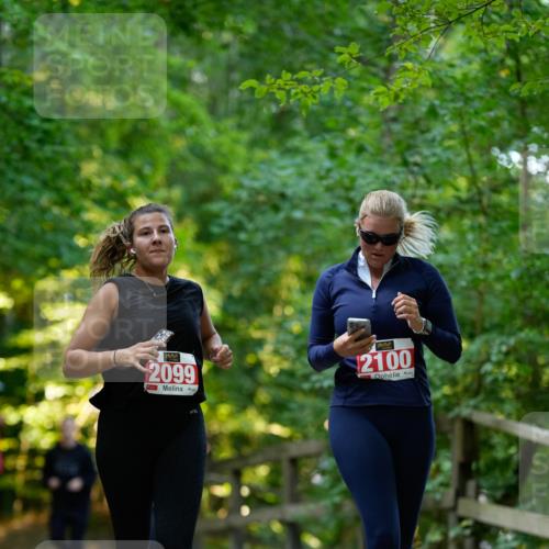 28.09.2025 - 33. Volkslauf durch das schöne Alstertal Patografie http://msf.ph/oto/8966535 28.09.2025 09:43:54 Laufen 2099, 2100 meine-sportfotos.de