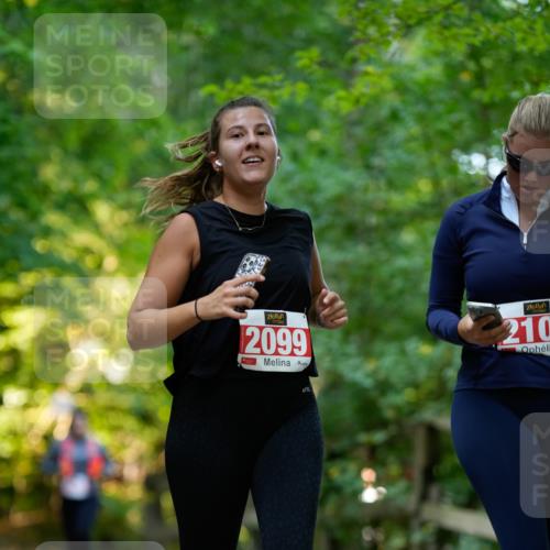28.09.2025 - 33. Volkslauf durch das schöne Alstertal Patografie http://msf.ph/oto/8966536 28.09.2025 09:43:55 Laufen 2099, 210 meine-sportfotos.de