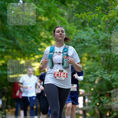 28.09.2025 - 33. Volkslauf durch das schöne Alstertal Patografie http://msf.ph/oto/8966537 28.09.2025 09:44:02 Laufen 2164 meine-sportfotos.de
