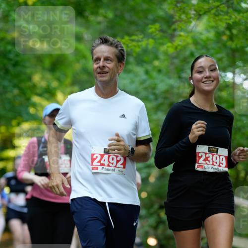 28.09.2025 - 33. Volkslauf durch das schöne Alstertal Patografie http://msf.ph/oto/8966540 28.09.2025 09:44:05 Laufen 2492, 2399 meine-sportfotos.de