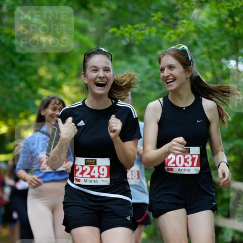 28.09.2025 - 33. Volkslauf durch das schöne Alstertal Patografie http://msf.ph/oto/8966541 28.09.2025 09:44:09 Laufen 2249, 48, 2037 meine-sportfotos.de