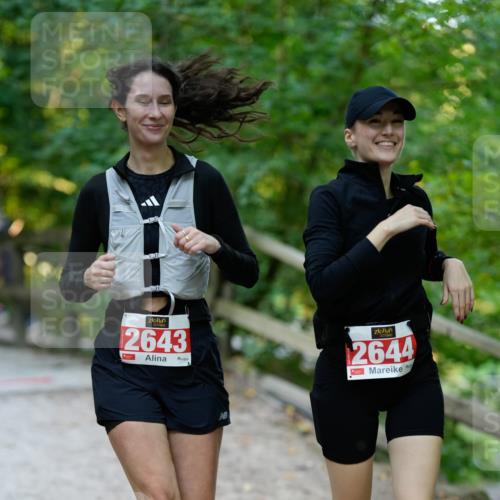 28.09.2025 - 33. Volkslauf durch das schöne Alstertal Patografie http://msf.ph/oto/8966553 28.09.2025 09:46:14 Laufen 2643, 2644 meine-sportfotos.de