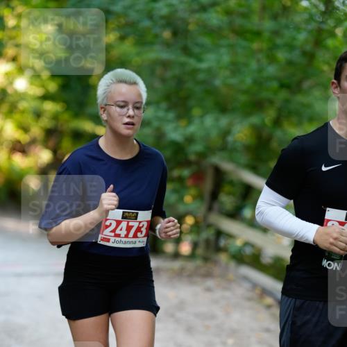 28.09.2025 - 33. Volkslauf durch das schöne Alstertal Patografie http://msf.ph/oto/8966555 28.09.2025 09:46:20 Laufen 12473 meine-sportfotos.de