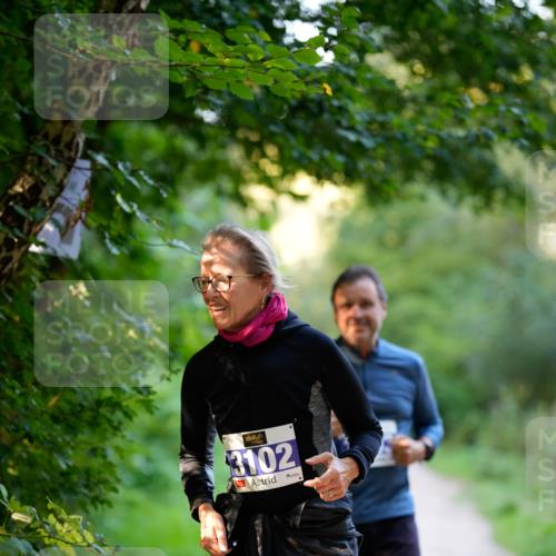 28.09.2025 - 33. Volkslauf durch das schöne Alstertal Patografie http://msf.ph/oto/8966567 28.09.2025 09:50:26 Laufen 3102 meine-sportfotos.de
