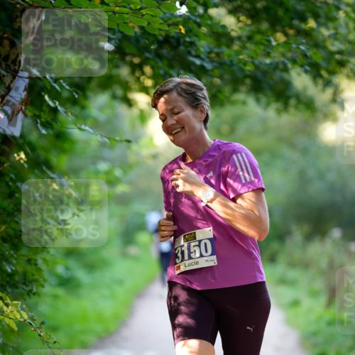 28.09.2025 - 33. Volkslauf durch das schöne Alstertal Patografie http://msf.ph/oto/8966569 28.09.2025 09:50:31 Laufen 3150 meine-sportfotos.de
