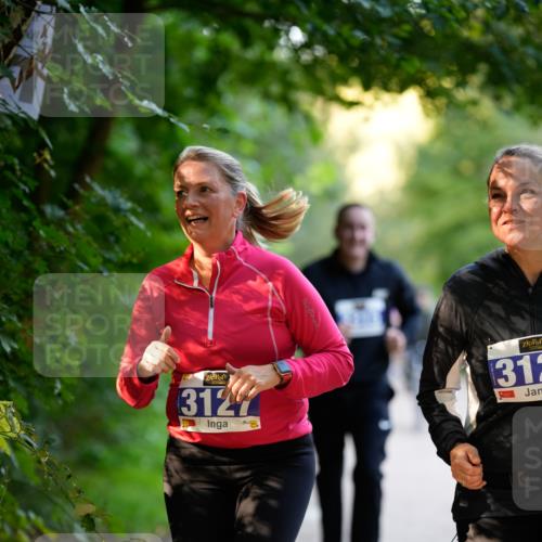 28.09.2025 - 33. Volkslauf durch das schöne Alstertal Patografie http://msf.ph/oto/8966586 28.09.2025 09:51:41 Laufen 3127, 312 meine-sportfotos.de