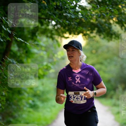 28.09.2025 - 33. Volkslauf durch das schöne Alstertal Patografie http://msf.ph/oto/8966590 28.09.2025 09:51:51 Laufen 3257 meine-sportfotos.de