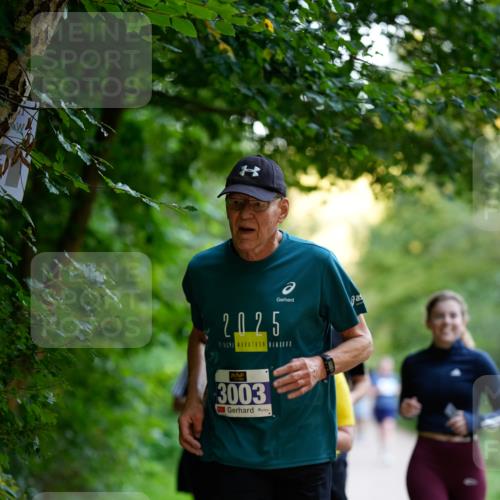 28.09.2025 - 33. Volkslauf durch das schöne Alstertal Patografie http://msf.ph/oto/8966596 28.09.2025 09:52:15 Laufen 2025, 31, 3003 meine-sportfotos.de