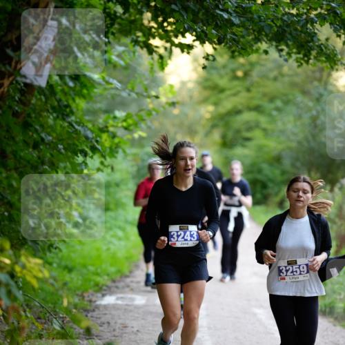 28.09.2025 - 33. Volkslauf durch das schöne Alstertal Patografie http://msf.ph/oto/8966618 28.09.2025 09:53:40 Laufen 3243, 3259 meine-sportfotos.de