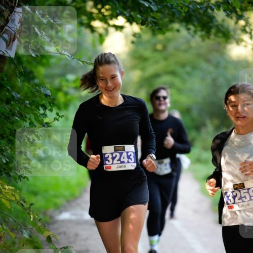 28.09.2025 - 33. Volkslauf durch das schöne Alstertal Patografie http://msf.ph/oto/8966619 28.09.2025 09:53:41 Laufen 3243, 3259 meine-sportfotos.de