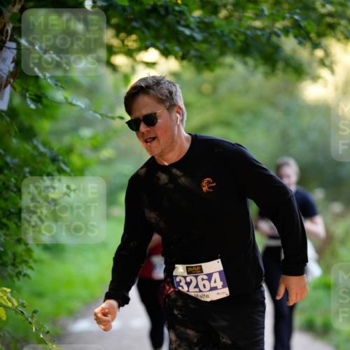 28.09.2025 - 33. Volkslauf durch das schöne Alstertal Patografie http://msf.ph/oto/8966621 28.09.2025 09:53:43 Laufen 3264 meine-sportfotos.de