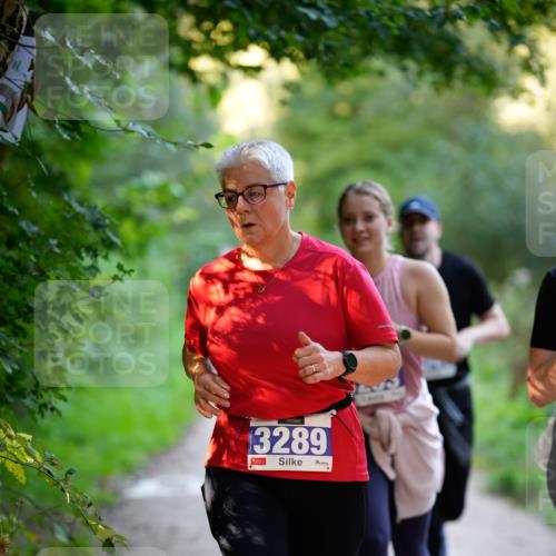 28.09.2025 - 33. Volkslauf durch das schöne Alstertal Patografie http://msf.ph/oto/8966622 28.09.2025 09:53:45 Laufen 3289 meine-sportfotos.de