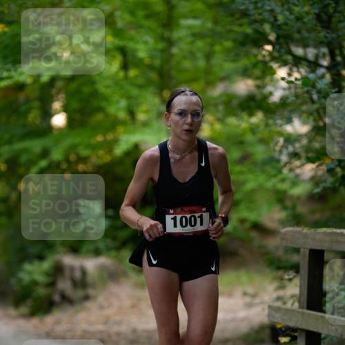 28.09.2025 - 33. Volkslauf durch das schöne Alstertal Patografie http://msf.ph/oto/8966628 28.09.2025 09:53:58 Laufen 1001 meine-sportfotos.de