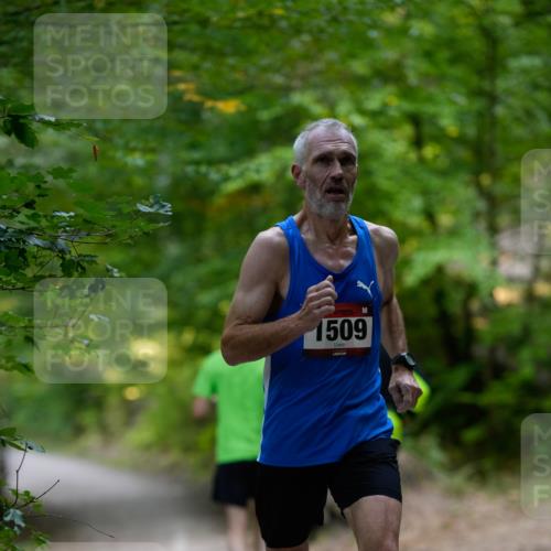 28.09.2025 - 33. Volkslauf durch das schöne Alstertal Patografie http://msf.ph/oto/8966629 28.09.2025 09:54:11 Laufen 1509 meine-sportfotos.de