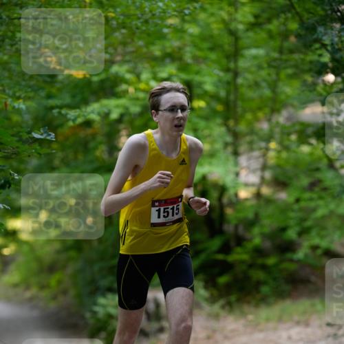 28.09.2025 - 33. Volkslauf durch das schöne Alstertal Patografie http://msf.ph/oto/8966635 28.09.2025 09:55:11 Laufen 1515 meine-sportfotos.de