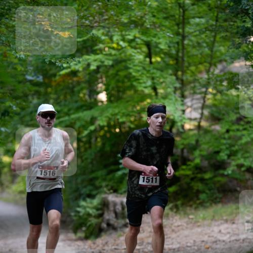 28.09.2025 - 33. Volkslauf durch das schöne Alstertal Patografie http://msf.ph/oto/8966636 28.09.2025 09:55:21 Laufen 1516, 1511 meine-sportfotos.de