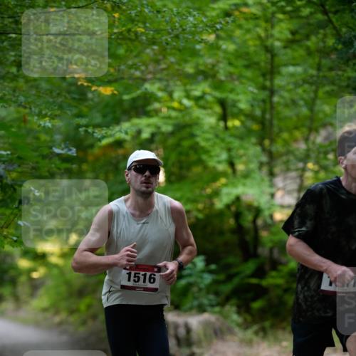 28.09.2025 - 33. Volkslauf durch das schöne Alstertal Patografie http://msf.ph/oto/8966637 28.09.2025 09:55:21 Laufen 1516 meine-sportfotos.de