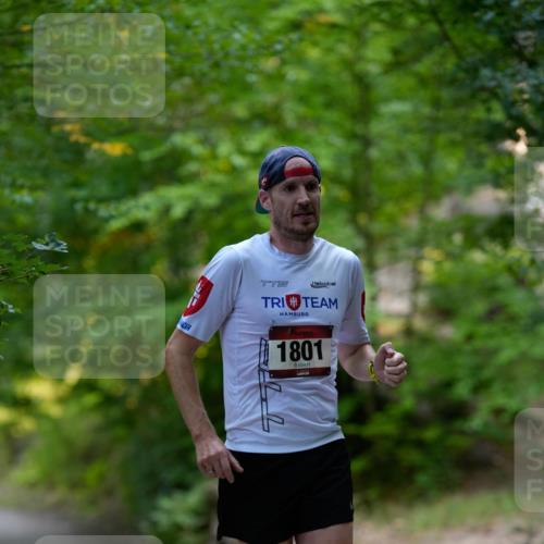 28.09.2025 - 33. Volkslauf durch das schöne Alstertal Patografie http://msf.ph/oto/8966643 28.09.2025 09:56:17 Laufen 1801 meine-sportfotos.de