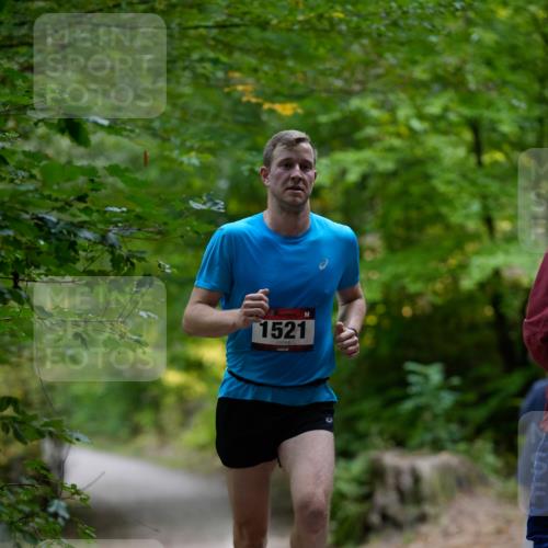 28.09.2025 - 33. Volkslauf durch das schöne Alstertal Patografie http://msf.ph/oto/8966644 28.09.2025 09:56:38 Laufen 1521 meine-sportfotos.de