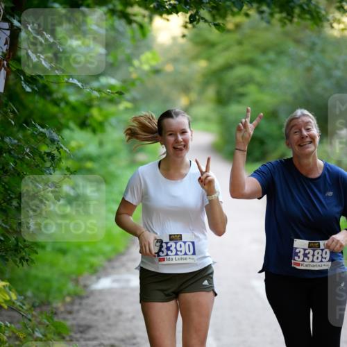 28.09.2025 - 33. Volkslauf durch das schöne Alstertal Patografie http://msf.ph/oto/8966645 28.09.2025 09:56:51 Laufen 3390, 3389 meine-sportfotos.de