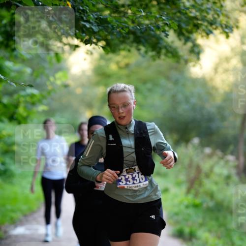 28.09.2025 - 33. Volkslauf durch das schöne Alstertal Patografie http://msf.ph/oto/8966651 28.09.2025 09:58:01 Laufen 3336 meine-sportfotos.de