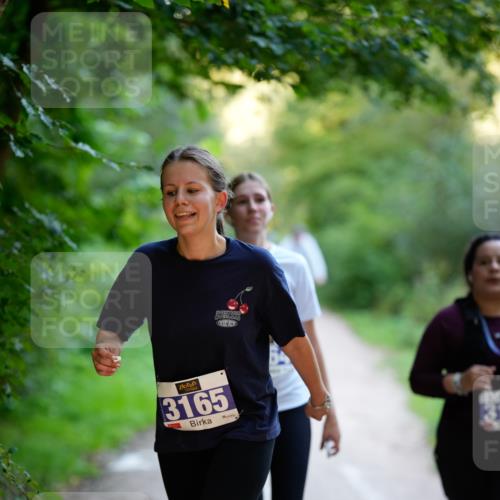 28.09.2025 - 33. Volkslauf durch das schöne Alstertal Patografie http://msf.ph/oto/8966653 28.09.2025 09:58:05 Laufen 3165 meine-sportfotos.de