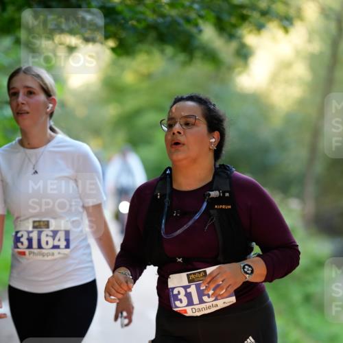 28.09.2025 - 33. Volkslauf durch das schöne Alstertal Patografie http://msf.ph/oto/8966654 28.09.2025 09:58:07 Laufen 3164, 3137 meine-sportfotos.de