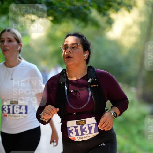 28.09.2025 - 33. Volkslauf durch das schöne Alstertal Patografie http://msf.ph/oto/8966655 28.09.2025 09:58:07 Laufen 3164, 3137 meine-sportfotos.de