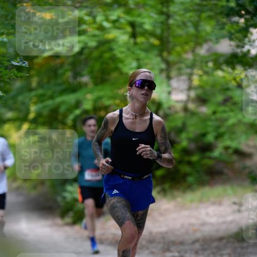 28.09.2025 - 33. Volkslauf durch das schöne Alstertal Patografie http://msf.ph/oto/8966657 28.09.2025 09:58:17 Laufen 2704 meine-sportfotos.de