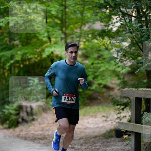 28.09.2025 - 33. Volkslauf durch das schöne Alstertal Patografie http://msf.ph/oto/8966658 28.09.2025 09:58:19 Laufen 1520 meine-sportfotos.de