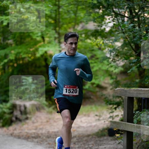 28.09.2025 - 33. Volkslauf durch das schöne Alstertal Patografie http://msf.ph/oto/8966659 28.09.2025 09:58:19 Laufen 1520 meine-sportfotos.de
