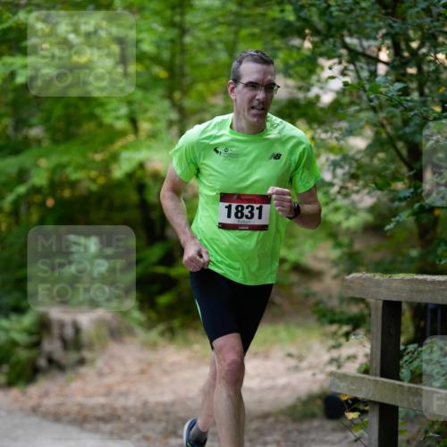 28.09.2025 - 33. Volkslauf durch das schöne Alstertal Patografie http://msf.ph/oto/8966661 28.09.2025 09:58:24 Laufen 1831 meine-sportfotos.de