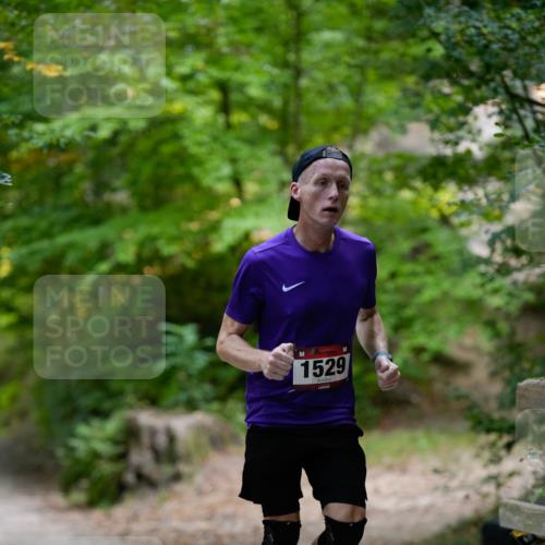 28.09.2025 - 33. Volkslauf durch das schöne Alstertal Patografie http://msf.ph/oto/8966662 28.09.2025 09:58:36 Laufen 1529 meine-sportfotos.de