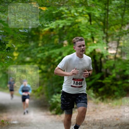 28.09.2025 - 33. Volkslauf durch das schöne Alstertal Patografie http://msf.ph/oto/8966665 28.09.2025 10:00:09 Laufen 1846 meine-sportfotos.de