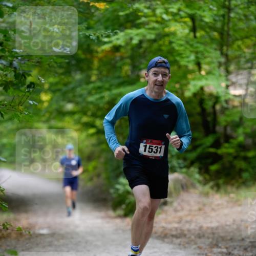 28.09.2025 - 33. Volkslauf durch das schöne Alstertal Patografie http://msf.ph/oto/8966667 28.09.2025 10:00:14 Laufen 1531 meine-sportfotos.de