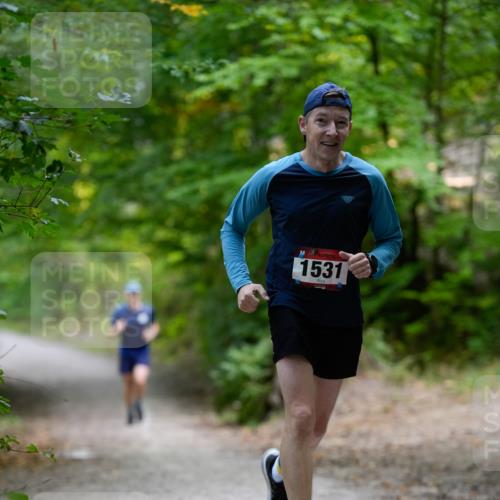 28.09.2025 - 33. Volkslauf durch das schöne Alstertal Patografie http://msf.ph/oto/8966668 28.09.2025 10:00:14 Laufen 1531 meine-sportfotos.de