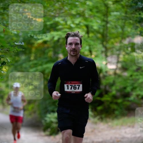 28.09.2025 - 33. Volkslauf durch das schöne Alstertal Patografie http://msf.ph/oto/8966669 28.09.2025 10:00:37 Laufen 1767 meine-sportfotos.de