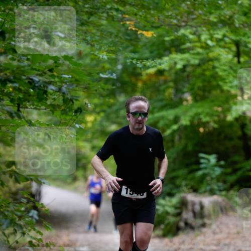 28.09.2025 - 33. Volkslauf durch das schöne Alstertal Patografie http://msf.ph/oto/8966674 28.09.2025 10:00:57 Laufen  meine-sportfotos.de