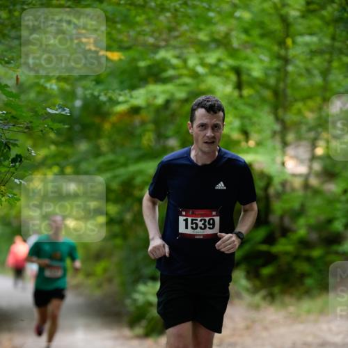 28.09.2025 - 33. Volkslauf durch das schöne Alstertal Patografie http://msf.ph/oto/8966679 28.09.2025 10:01:55 Laufen 1539 meine-sportfotos.de
